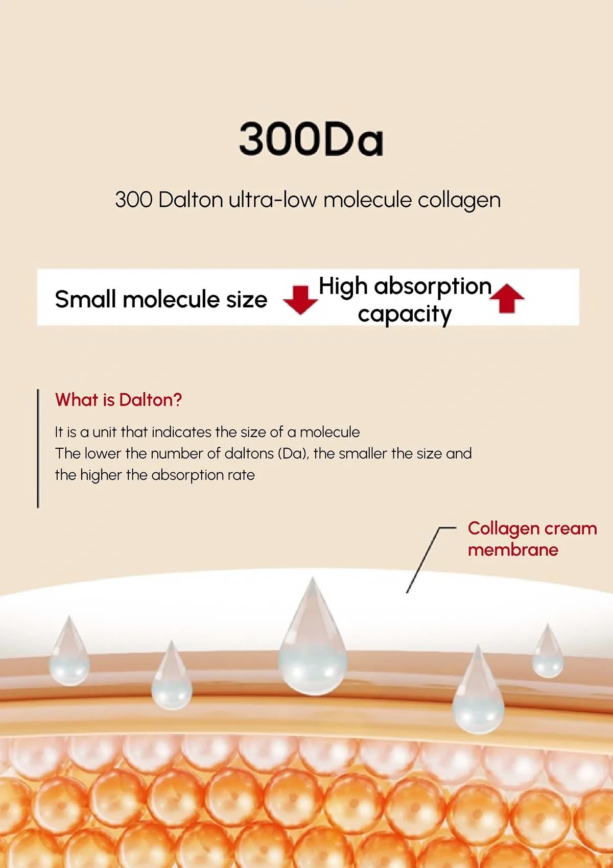 [BLANC DUBU] Nuborn Cell Bakuchiol Complex Dalgyal Mask 65ml - Image 13