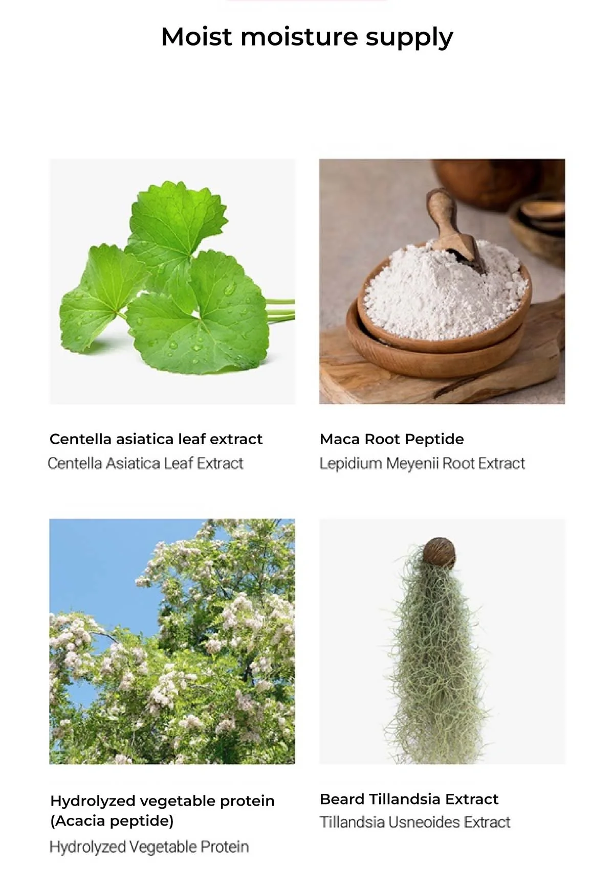 [BLANC DUBU] Nuborn Cell Calming & BB Sun Cream  SPF 50+ PA++++ 40ml - Image 12