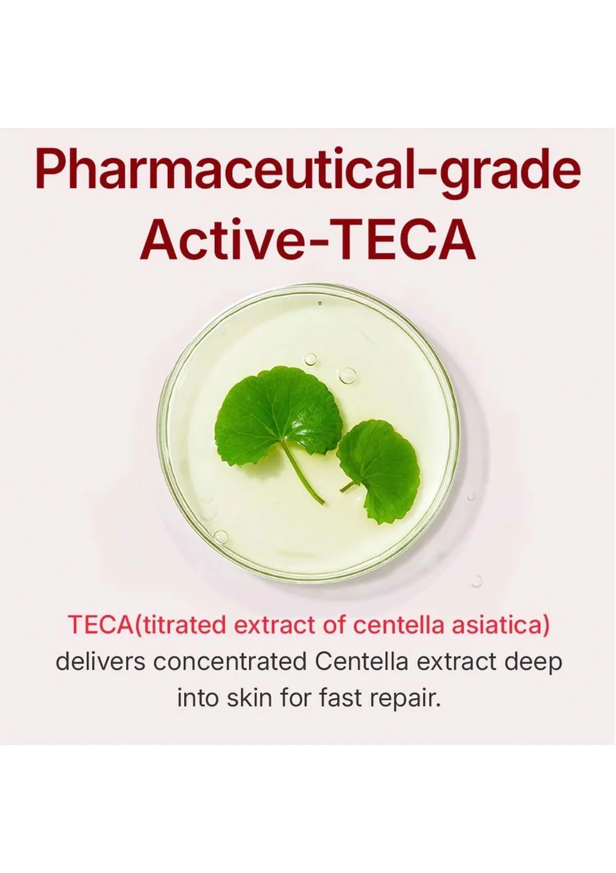 [CENTELLIAN24] Madeca Cream Time Reverse 50ml - Image 8