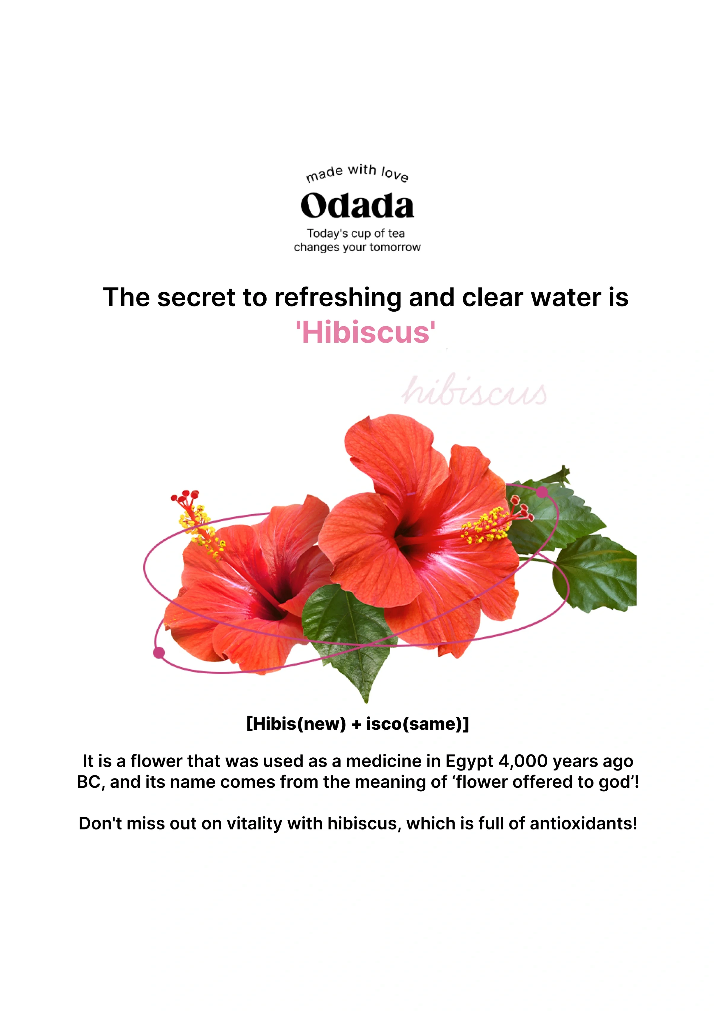 [ODADA] Poopoo-Berry Tea (1 Pack = 1.5g x 24 Tea Bags) - Image 17