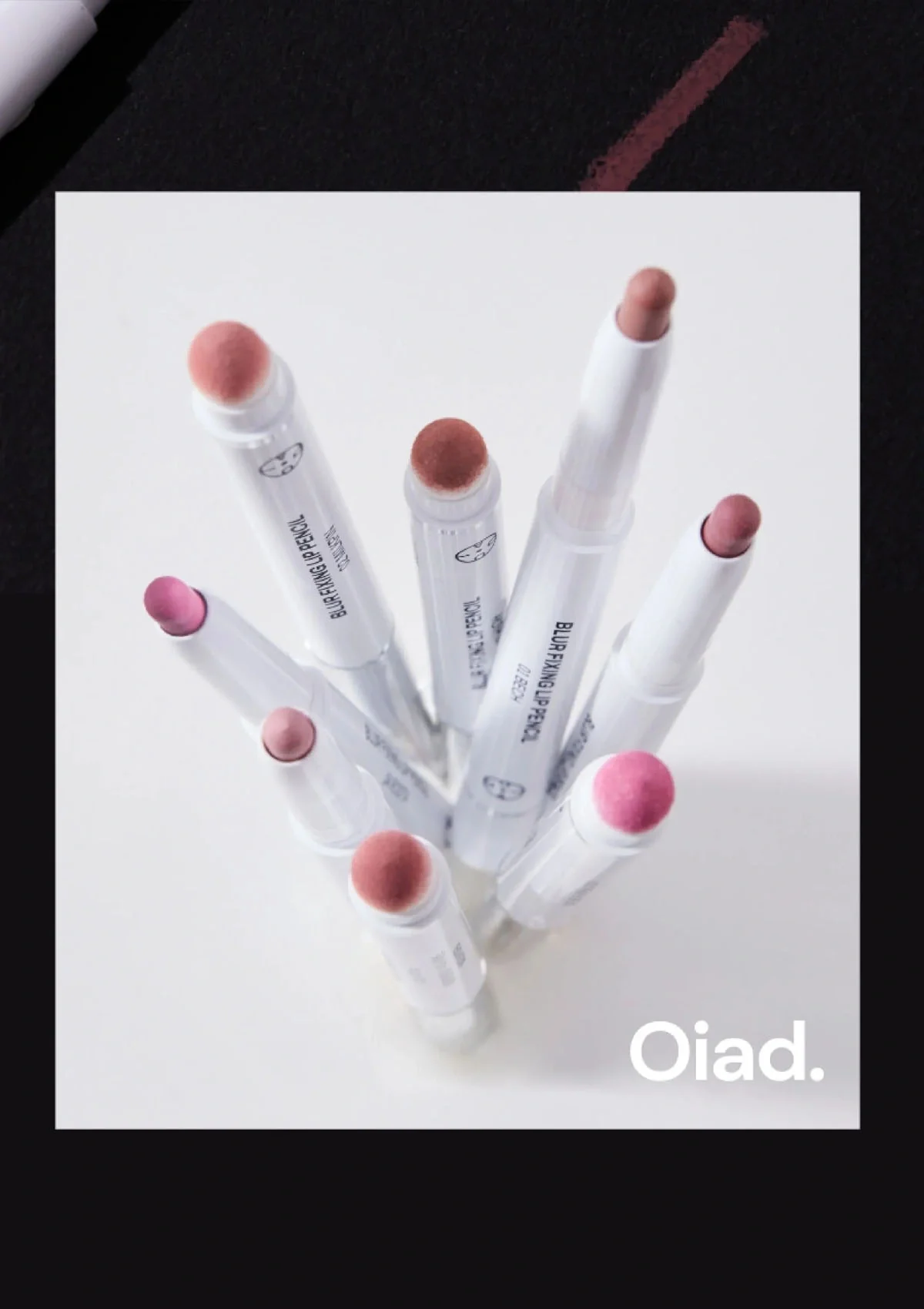 [OIAD]  Blur Fixing Lip Pencil 0.5g - Image 10
