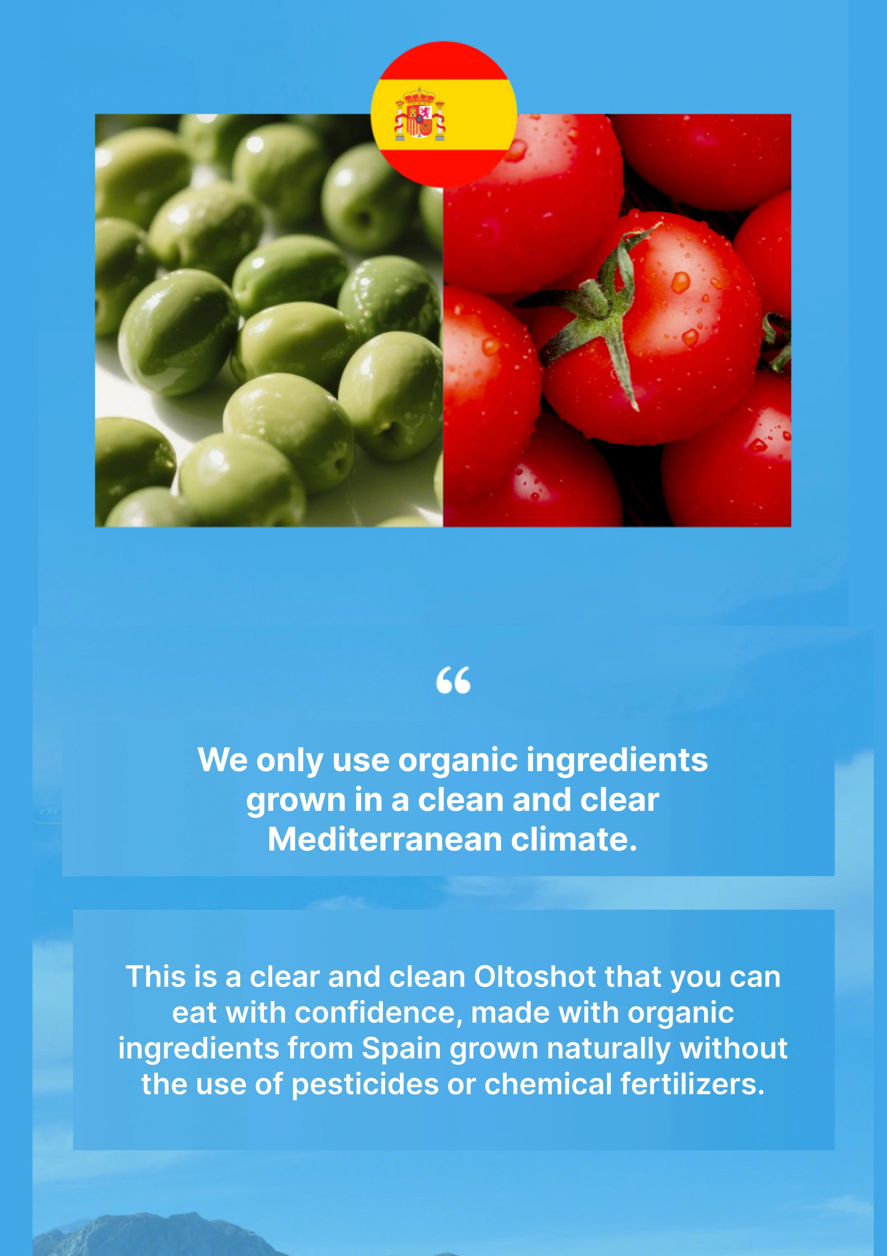 [OLIVAZUMO] Organic Olive Tomato Oltoshot (1 Box = 20ml x 14 Sticks) - Image 8