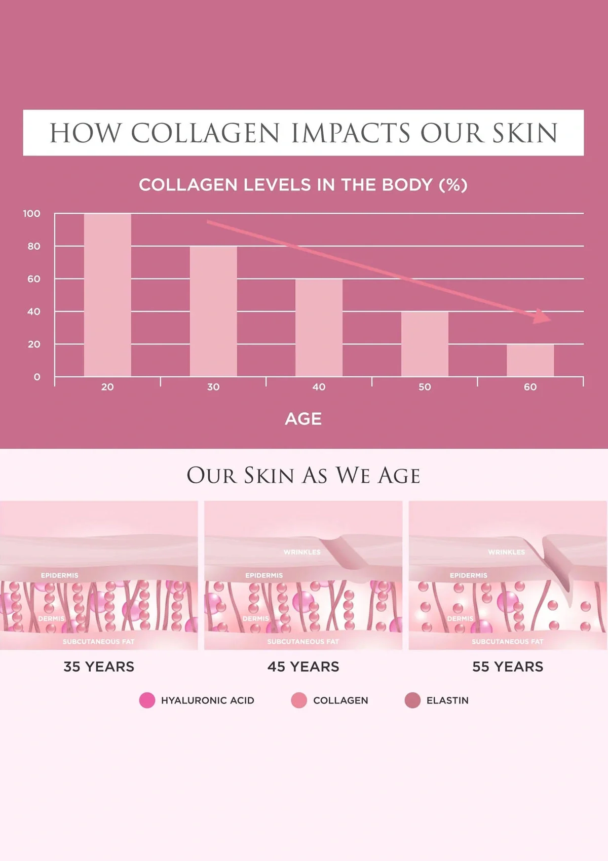 Revive Collagen Original - 8500mg Type 1 Hydrolysed Marine Collagen Drink - Image 5