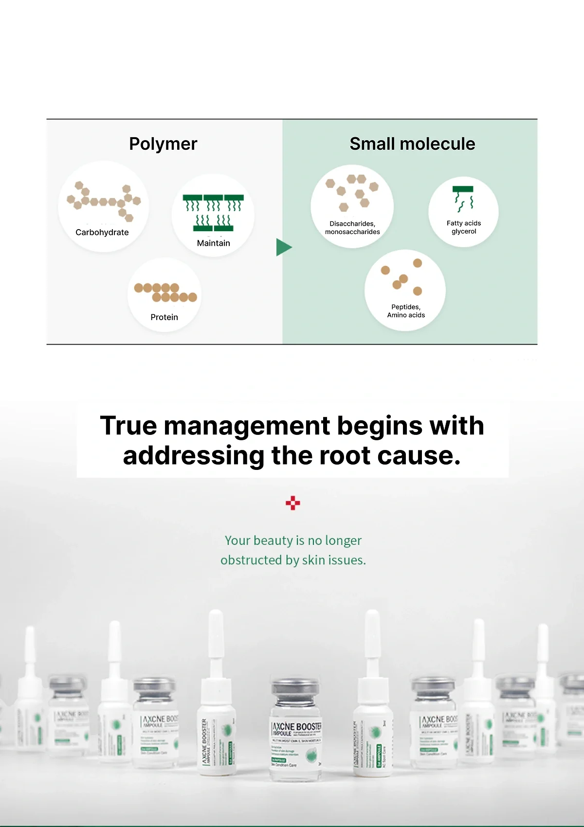 [VEMONTES] Axcne Booster Ampoule (1 Box = 3ml x 10 Bottles) - Image 9