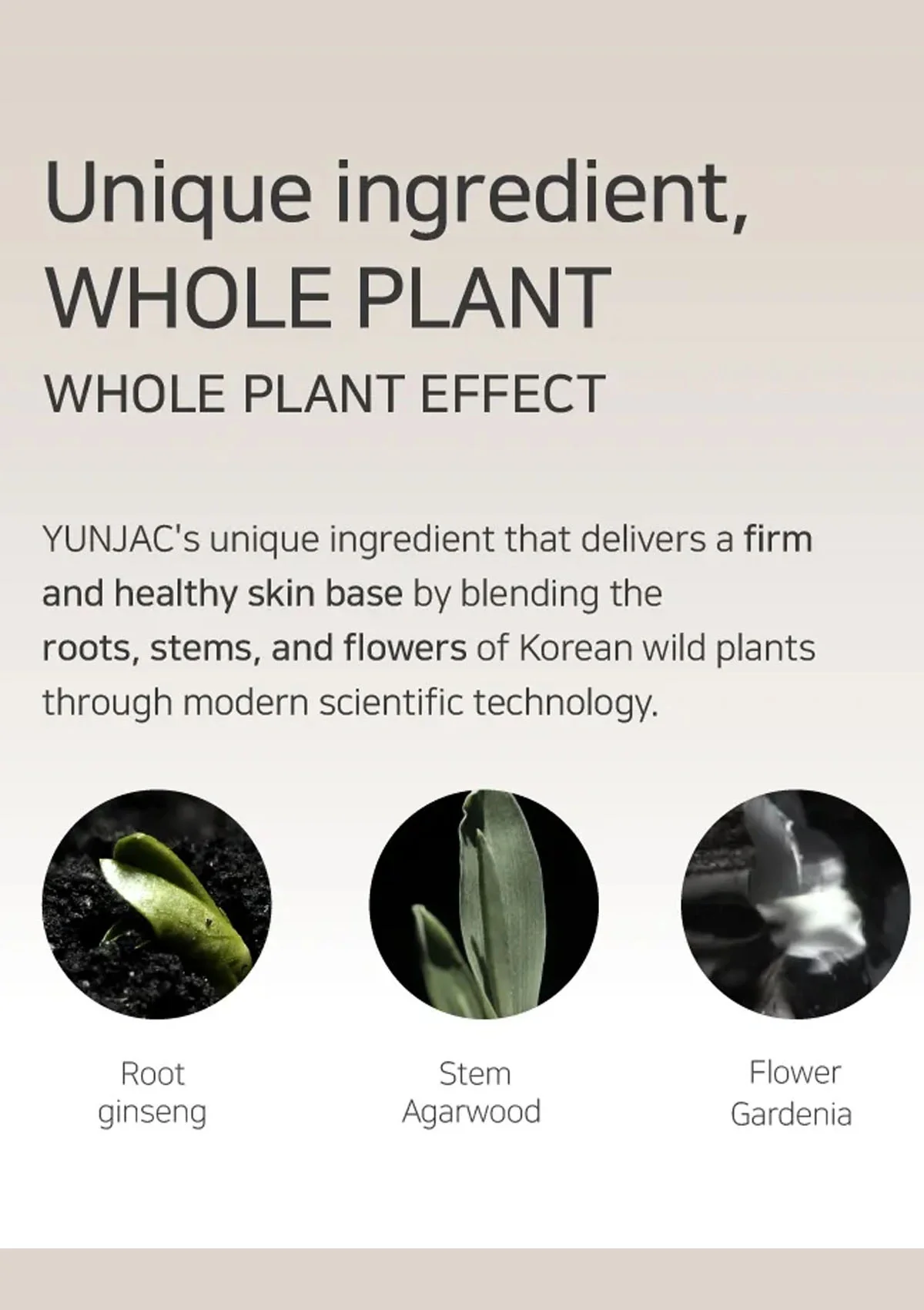 [YUNJAC] Skin Perfecting Collection - Image 10